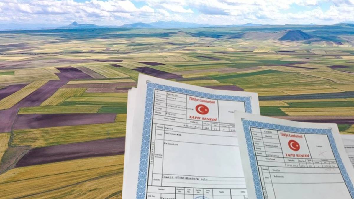 Tapuda yeni düzenleme: Avukatsız işlem yapılmayacak